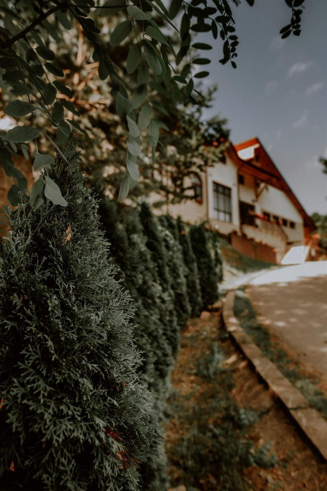 Pensiunea Poiana Verde Slănic-Moldova Esterno foto