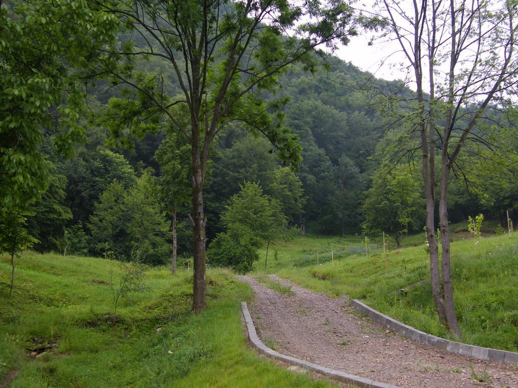 Pensiunea Poiana Verde Slănic-Moldova Esterno foto